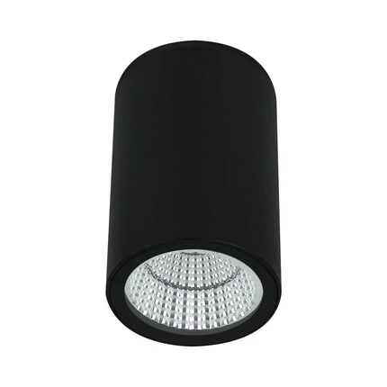 Уличный потолочный светильник Arte Lamp TORCULAR A1307PF-1BK