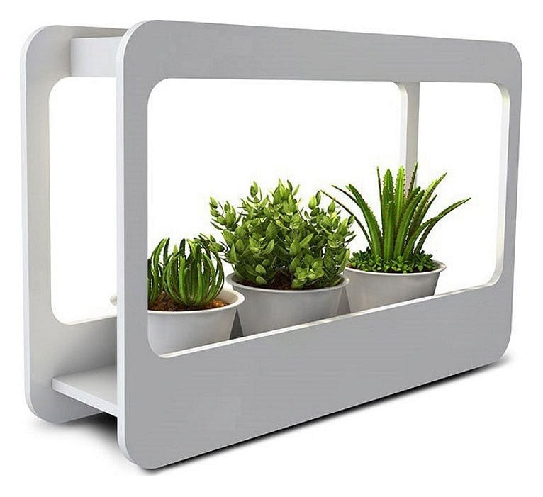 Светодиодный светильник "Фито-сад"  MG004 для растений, с адаптером  24V 480*320*138 "Basic"