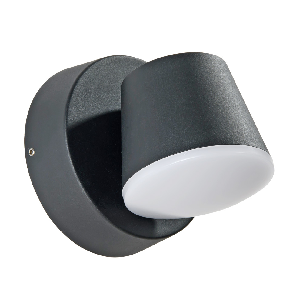 Уличный настенный светильник Arte Lamp CHICO A2212AL-1BK