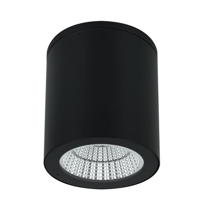 Уличный потолочный светильник Arte Lamp TORCULAR A1313PF-1BK