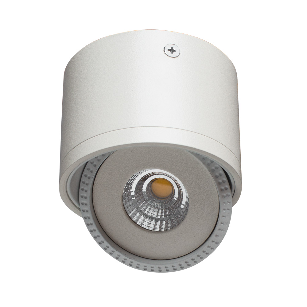 Точечный накладной светильник Arte Lamp STUDIO A4105PL-1WH