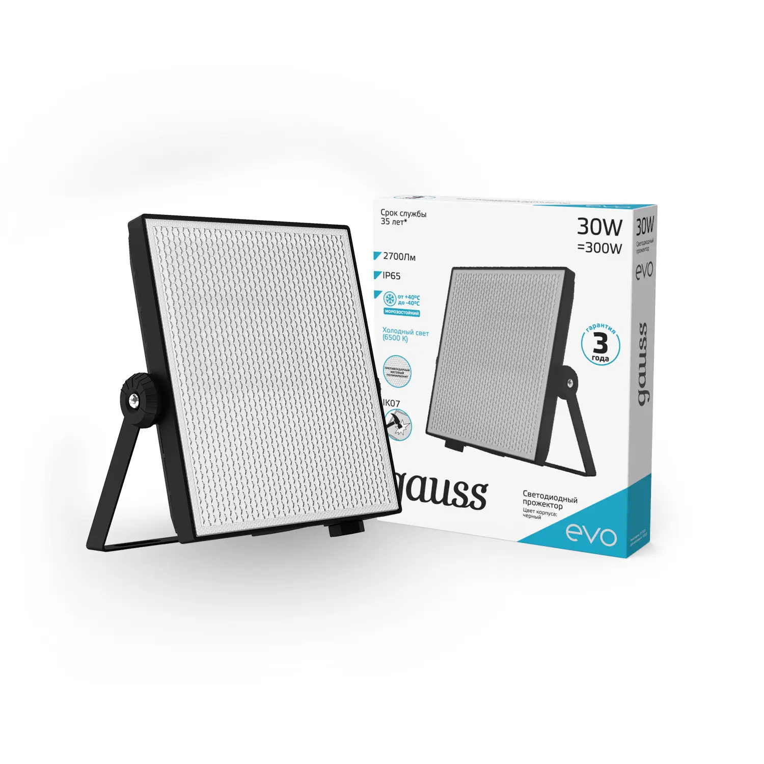 Прожектор Gauss EVO 30W 2700lm 6500K 100-240V IP65 черный LED 1/10 687511330