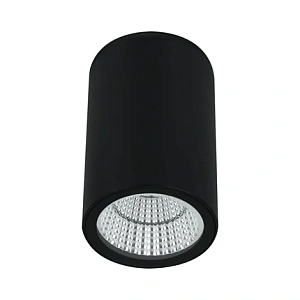 Уличный потолочный светильник Arte Lamp TORCULAR A1307PF-1BK