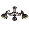 Потолочная люстра Arte Lamp MARTIN A5216PL-3BR