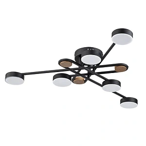 Потолочная люстра Arte Lamp TAYGETA A2455PL-6BK