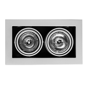 Карданный светильник Arte Lamp CARDANI MEDIO A5930PL-2WH