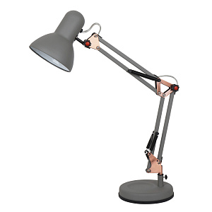 Офисная настольная лампа Arte Lamp JUNIOR A1330LT-1GY