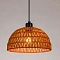 Подвесной светильник Arte Lamp BRUSHWOOD A7086SP-1BK