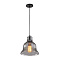 Подвесной светильник Arte Lamp AMIATA A4255SP-1SM