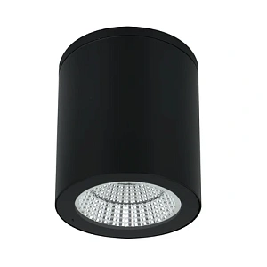 Уличный потолочный светильник Arte Lamp TORCULAR A1313PF-1BK
