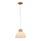 Подвесной светильник Arte lamp CAPRICE A4184SP-1BR