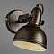 Спот Arte Lamp MARTIN A5213AP-1BR