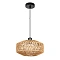 Подвесной светильник Arte Lamp BRUSHWOOD A7087SP-1BK