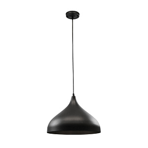 Подвесной светильник Arte Lamp CARMEL A7076SP-1BK