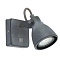 Спот Arte Lamp GOTTO A9189AP-1GY