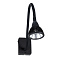 Бра Arte Lamp CERCARE A4107AP-1BK