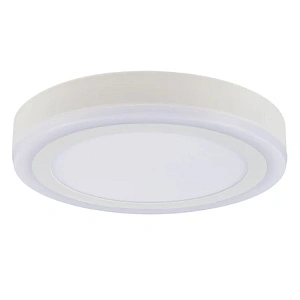 Потолочный светильник Arte Lamp ANTARES A7824PL-2WH