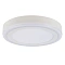 Потолочный светильник Arte Lamp ANTARES A7824PL-2WH