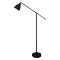 Торшер Arte Lamp BRACCIO A2054PN-1BK