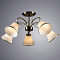 Потолочная люстра Arte Lamp BLOSSOM A2709PL-5AB