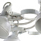 Потолочная люстра Arte Lamp MARTIN A5216PL-8WG