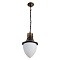 Уличный подвесной светильник Arte Lamp VIENNA A1317SO-1BN