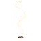 Торшер Arte Lamp KLIMT A2850PN-35BK