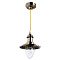 Подвесной светильник Arte Lamp FISHERMAN A5518SP-1AB