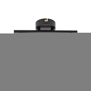 Спот Arte Lamp FALENA A3117PL-2BK