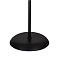 Торшер Arte Lamp DUETTO A9569PN-2BK