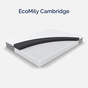 Матрас EcoMily Cambridge