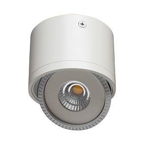 Точечный накладной светильник Arte Lamp STUDIO A4105PL-1WH