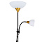 Торшер Arte Lamp DUETTO A9569PN-2BK