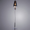 Торшер Arte Lamp ANNA MARIA A4280PN-1CC