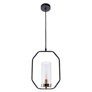 Подвесной светильник Arte Lamp CELAENO A7004SP-1BK