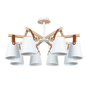 Потолочная люстра Arte Lamp THOMAS A7032PL-8WH