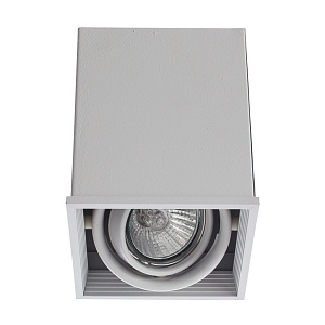 Точечный накладной светильник Arte Lamp CARDANI PICCOLO A5942PL-1WH