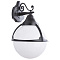 Уличный настенный светильник Arte Lamp MONACO A1492AL-1BK