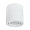Точечный накладной светильник Arte Lamp FANG A5559PL-1WH