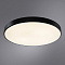 Потолочный светильник Arte Lamp ARENA A2673PL-1BK