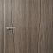 Межкомнатная дверь Сириус 1